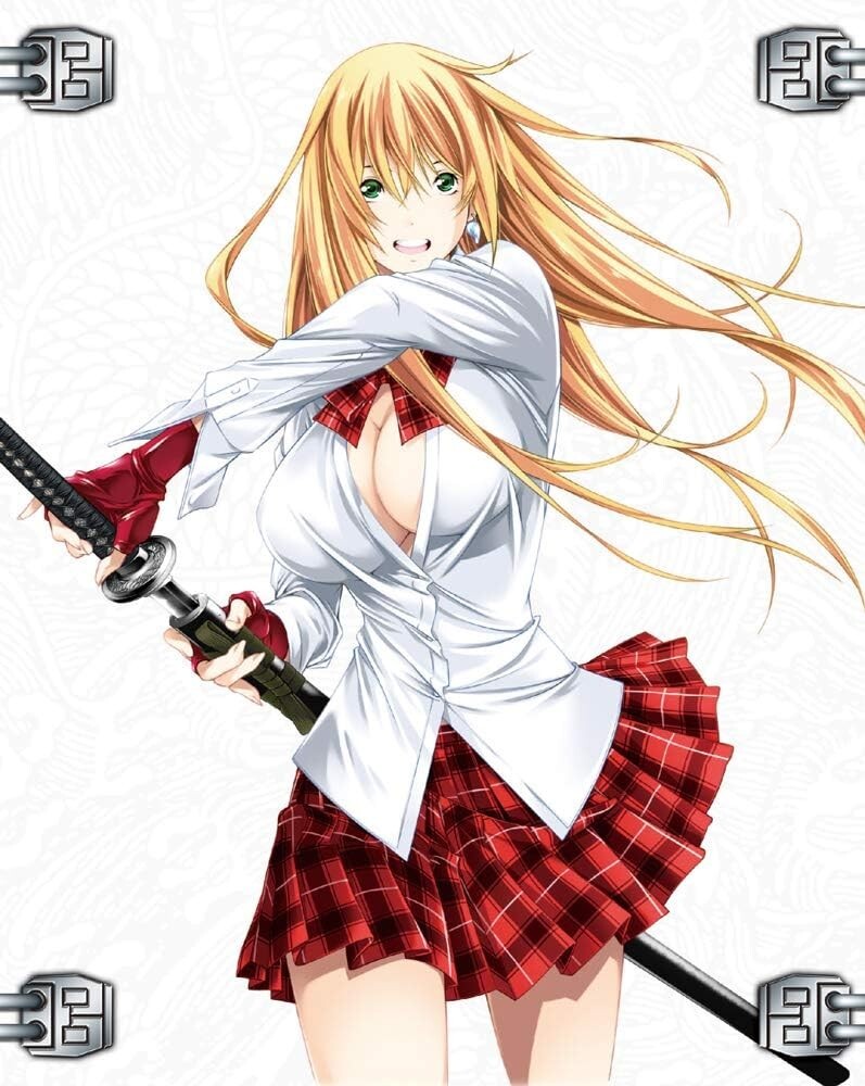 New DVD+CD Ikki Tousen Western Wolves First Edition with Booklet Box ZMBZ-12892