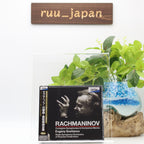 Rachmaninov: Symphony & Orchestra Complete Works NEW