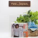 New Roger Voudouris On The Heels Of Love Japan Music CD Bonus tracks