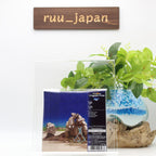 YES Tales From Topographic Oceans STEVEN WILSON RMX JAPAN MINI LP UHQ CD NEW