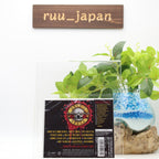GUNS N ROSES USE YOUR ILLUSION I 2022 REMASTER JAPAN SHM CD NEW