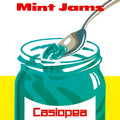 Casiopea Mint Jams Vinyl LP Japan NEW