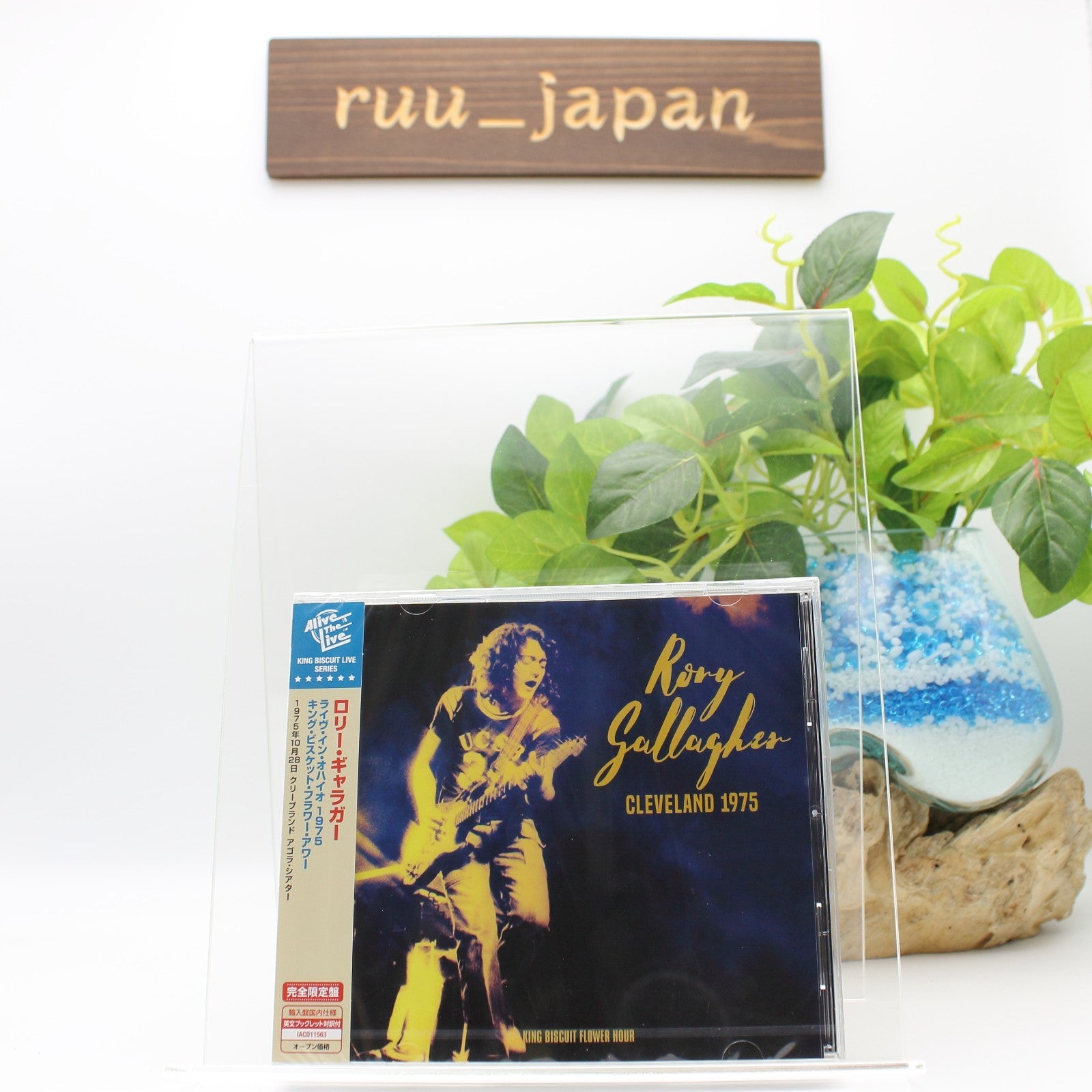 CD Rory Gallagher Cleveland 1975 King Biscuit Flower Hour w Bonus Tracks Japan