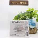 New Lee Ritenour & Dave Grusin Brasil (SACD Hybrid) Japan Music CD