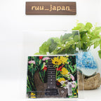 SAKI GERMINANS EP Deluxe Edition CD Blu-ray From Japan NEW