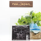 WHITE WIDDOW Victory CD From Japan NEW