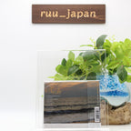 MARI HAMADA SUR LIE JP CD New