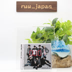 BTS [Bangtan Boys] Japan First Full Album [WAKE UP] Regular Edition new