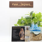 ORIANTHI O WITH BONUS TRACK 2020 CD From Japan NEW