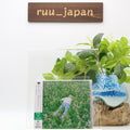 PORTER ROBINSON NURTURE W/1 BONUS TRACK JAPAN CD NEW