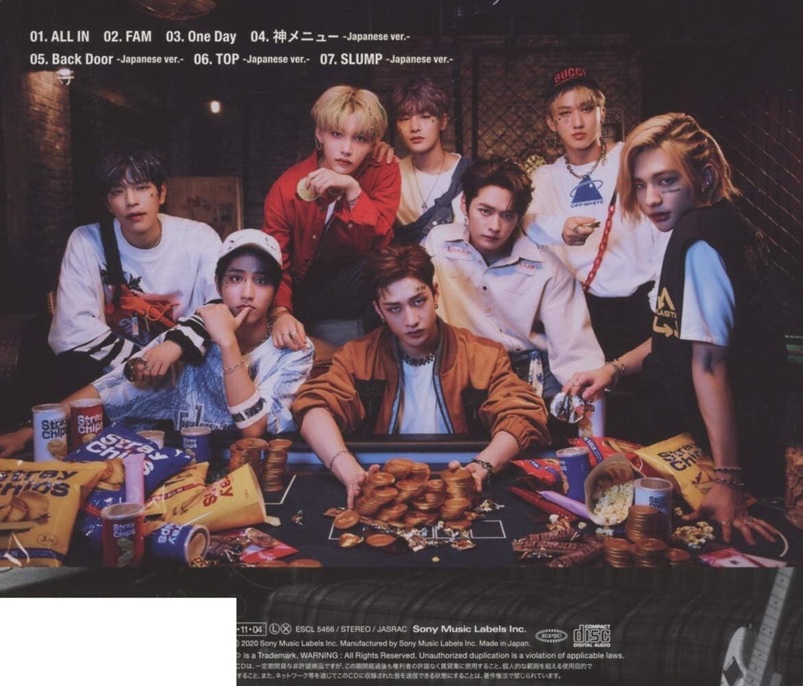 Stray Kids / ALL IN Regular Edition K-Pop Music CD 2020 Japan 1st Mini Album New