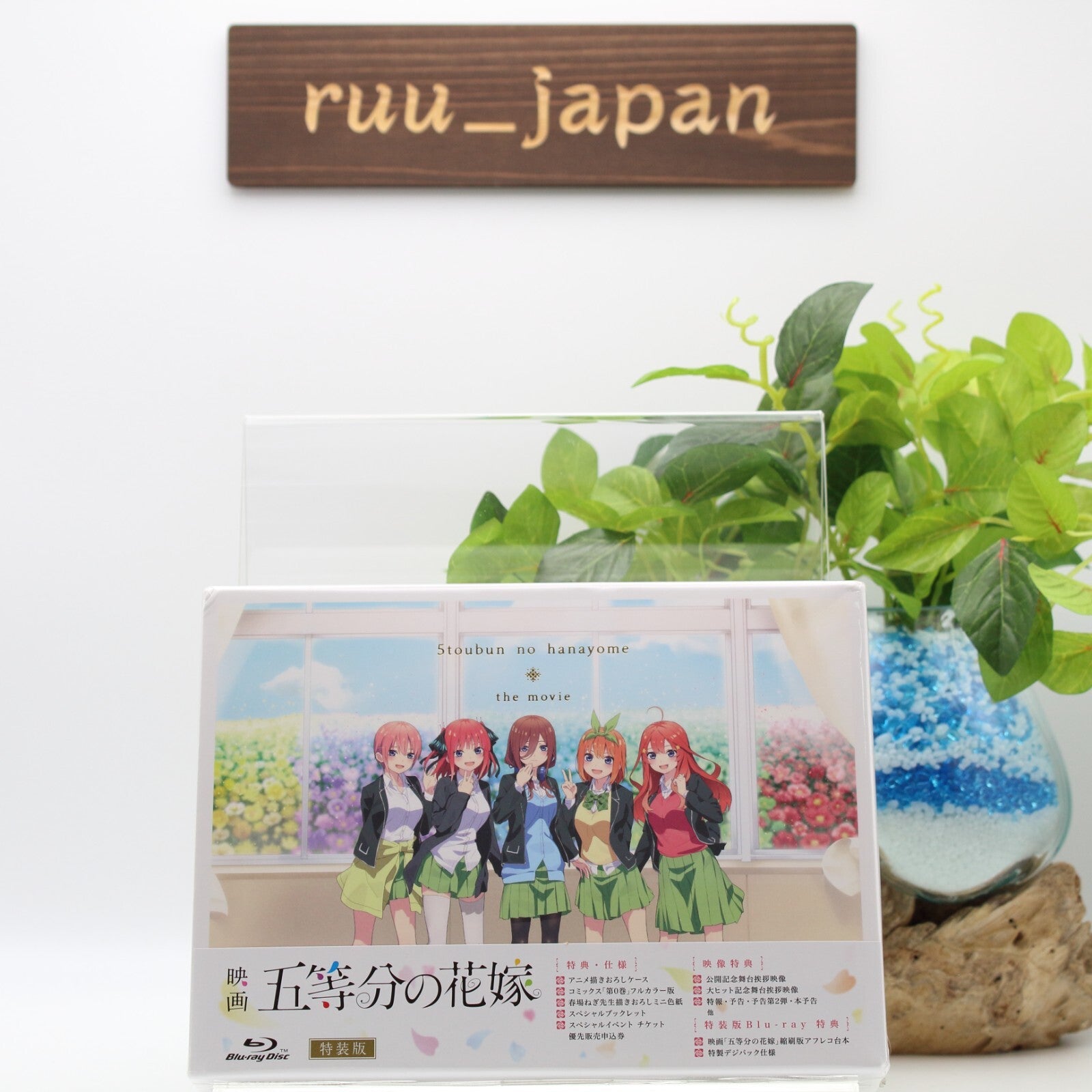 Movie “The Quintessential Quintuplets” Special Edition [Blu-ray] New