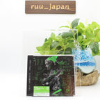 New SKS ZIGZAG Gran ∞ Grace (First Limited Edition) JAPAN CD