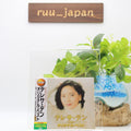 New TERESA TENG Original Best JAPAN CD