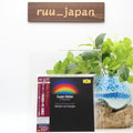 New Mahler: Symphony No. 6 ≪Tragic≫ SHM-SACD