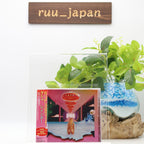 KESHA-RAINBOW-JAPAN CD BONUS TRACK Ltd/Ed NEW