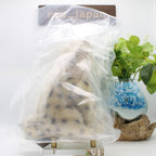 Hansa Plush - 8 Cheetah Cub NEW