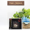 GEINOH YAMASHIROGUMI Ecophony Rinne Symphony Japan CD NEW