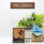 Aphrodites Child 2 CD(SHM-CD) 666 Japan OBI New