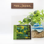 YAMAMOTO TSUYOSHI TRIO-BLUES FOR K-JAPAN CD From Japan NEW