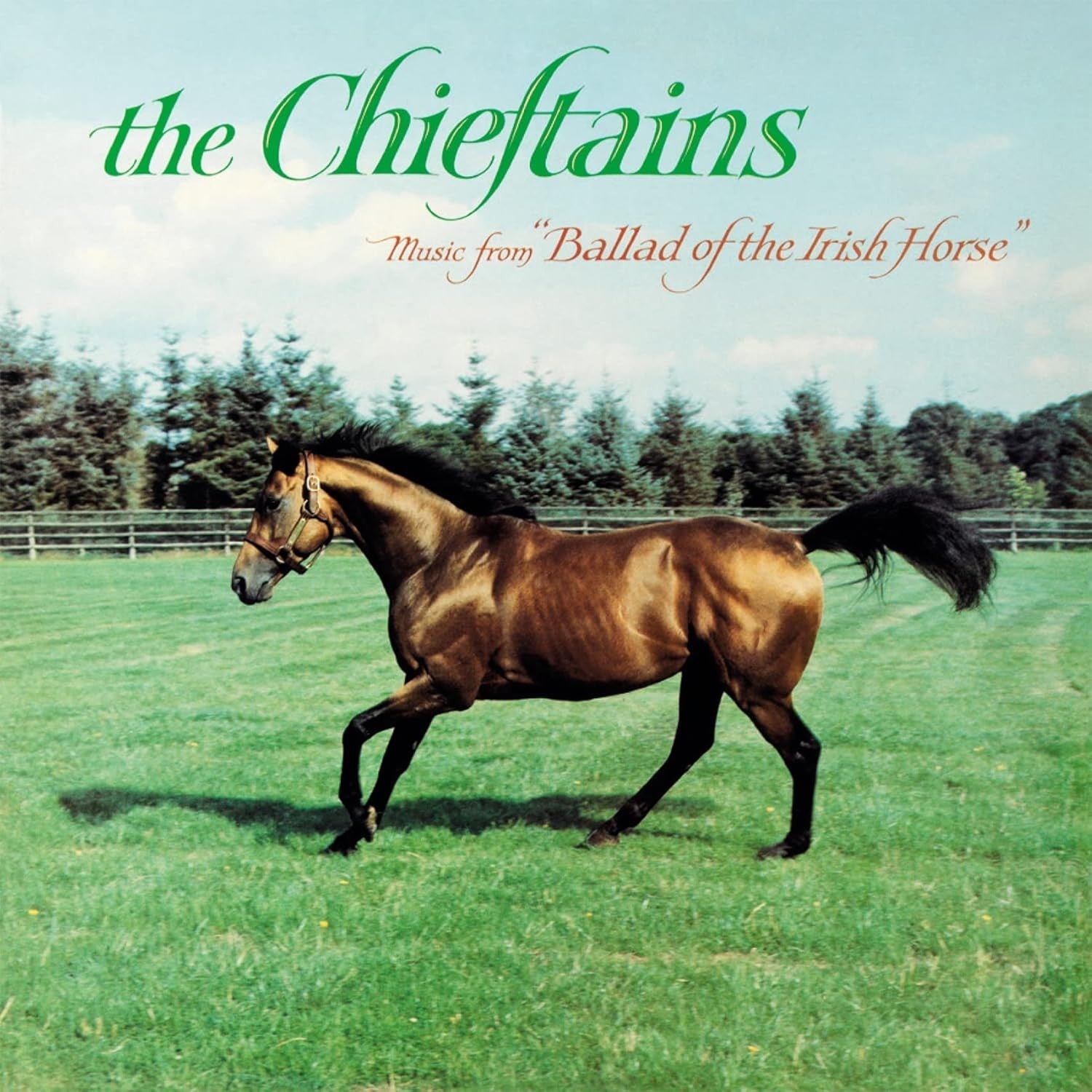 CD New THE CHIEFTAINS BALLAD OF THE IRISH HORSE 2023 JAPAN UHQ CD