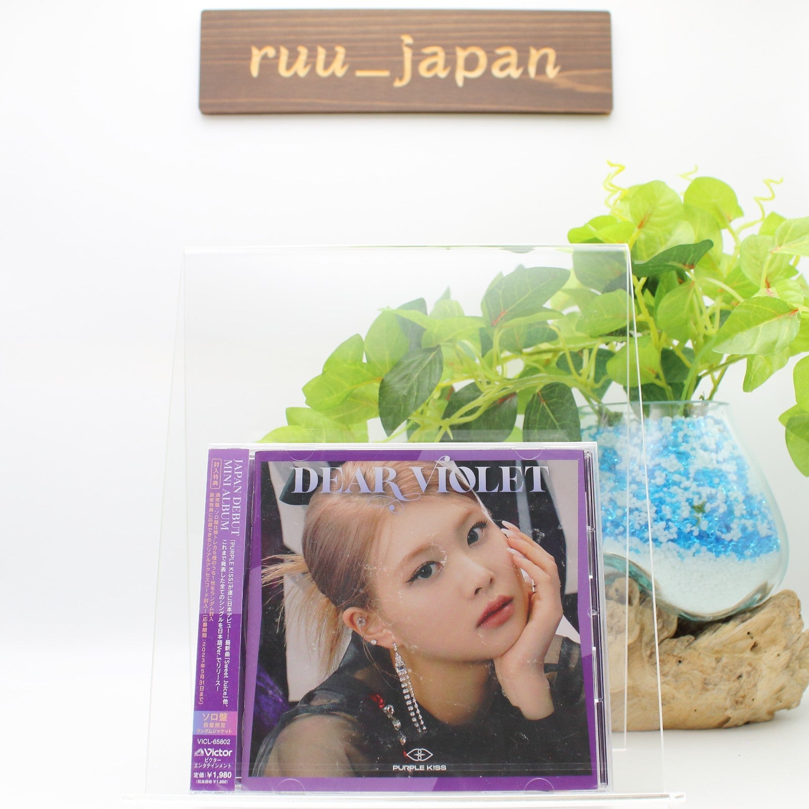 PURPLE KISS DEAR VIOLET Solo Edition CD From Japan New