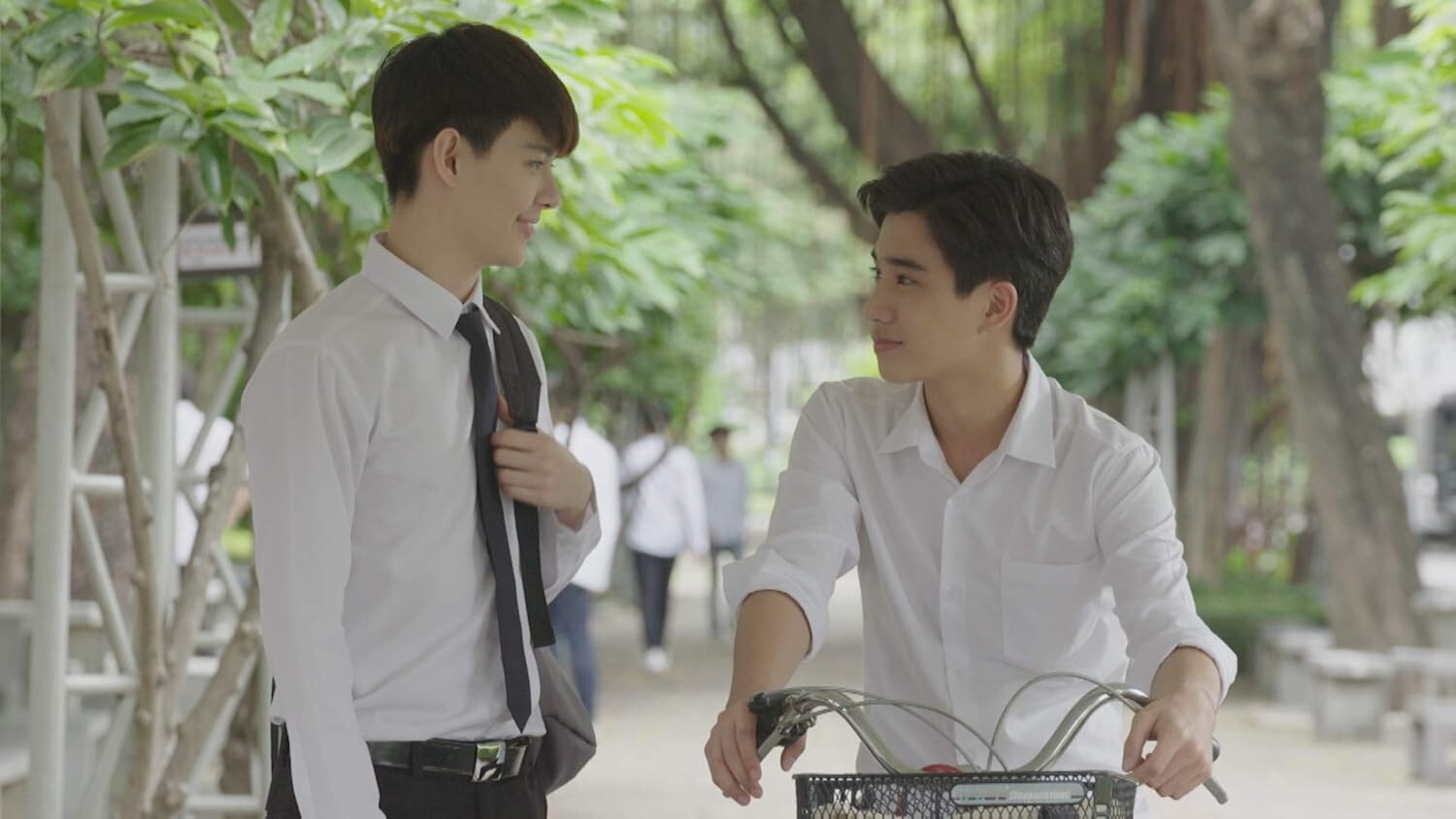 New Love by Chance DVD-BOX Standard Edition Thai BL Drama Series