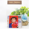 New Miho Nakayama / CATCH THE NITE 1988 CD Japan City Pop Toshiki Kadomatsu