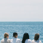 New Haku. - We cant do without us. [CD]