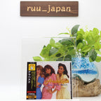 New Arabesque CD Arabesque Compilation Japan OBI E