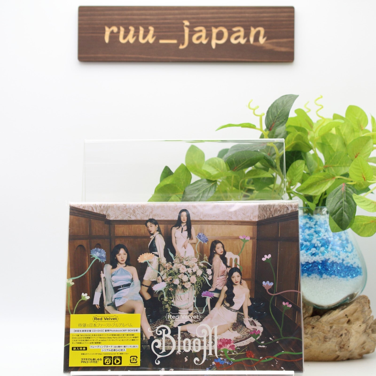 Red Velvet Bloom First Limited Edition CD+DVD Japan New