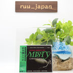 New TSUYOSHI YAMAMOTO TRIO-MISTY FOR DIRECT CUTTING (DSD)-CD BONUS TRACK Japan