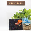 Legacy Two Steps From Hell CD from Japan NEW