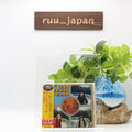 JAMES GANG Yer’ Album CD From Japan NEW