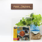 JAMES GANG Yer’ Album CD From Japan NEW