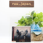 ILLUMISHADE ANOTHER SIDE OF YOU WITH BONUS TRACKS JAPAN CD New