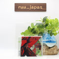 Kenshi Yonezu KICK BACK Chainsaw Man OP CD From Japan NEW