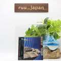 New Earth Quake 8.5 Japan Music CD
