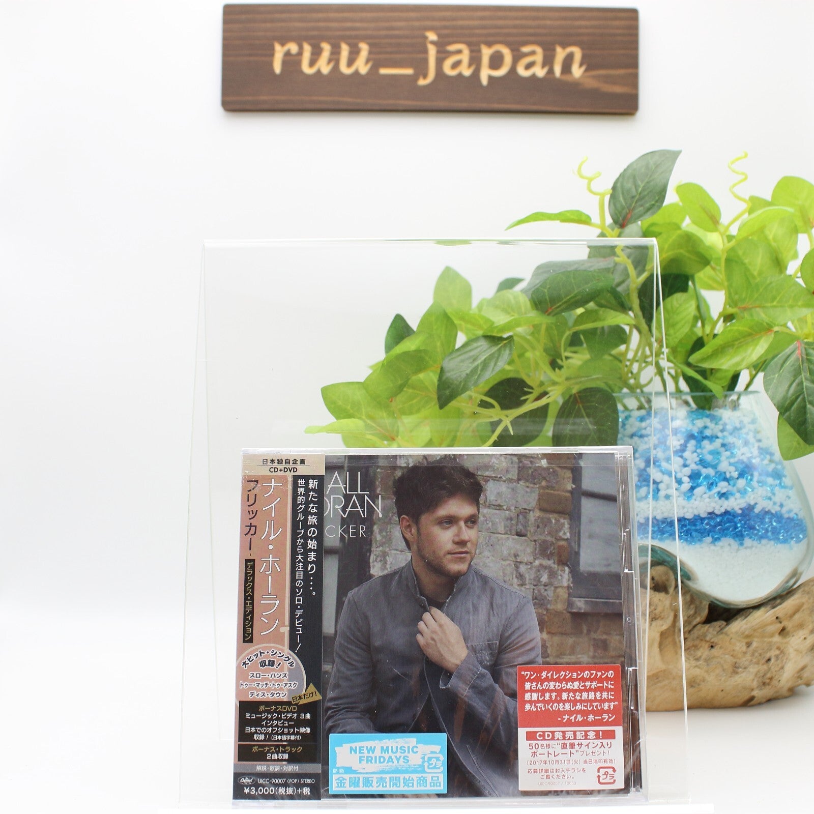 Niall Horan Flicker (Deluxe Edition) (Limited Edition) CD DVD Japan Music CD New