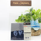 The Police SHM-CD Reggatta De Blanc Enhanced Video OBI From Japan NEW