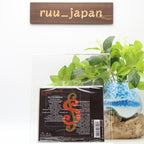 Shiro Sagisu Shiros Songbook 11 2 CD Japan UPCY-7766 New