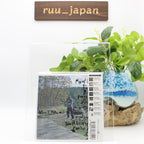 New A CROW LOOKED AT ME- MOUNT EERIE CD from Japan