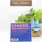 New Hanabie Tasty Survivor Limited Edition CD Blu-ray Japan