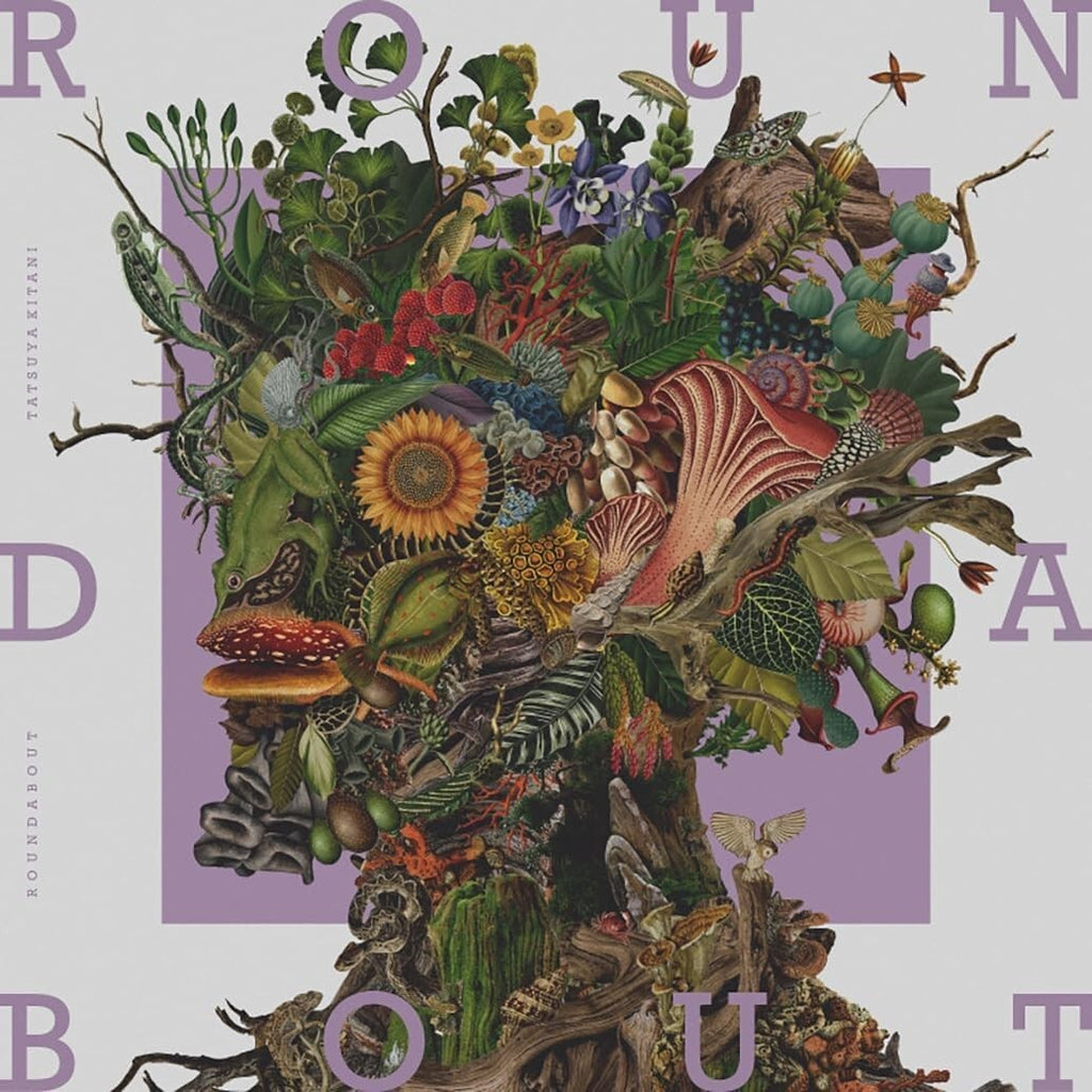 Tatsuya Kitani-ROUNDABOUT-JAPNA ALBUM CD Japan New