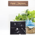 New RYUICHI SAKAMOTO OPUS 2024 JAPAN 2 CD