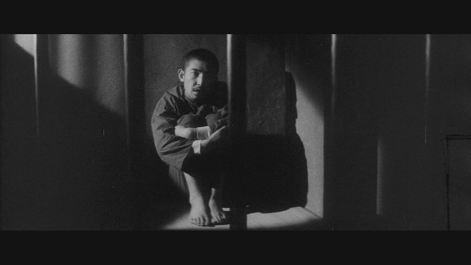 New Continued Dark History of Japanese Violence: Violence Dem [DVD]