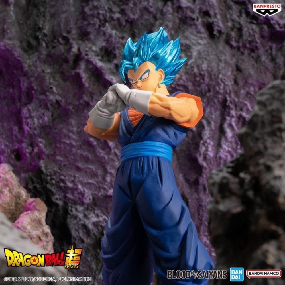 Dragon Ball Super BLOOD OF SAIYANS SPECIAL XIX Super Saiyan God Super Saiyan NEW
