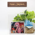 New Kessoku Band Bocchi the Rock! 1st Album Standard Edition CD Japan 2023
