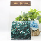 CD New AWAKENING:SLEEPING (reissue) Japan MASS OF THE FERMENTING DREGS Music