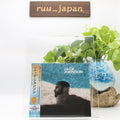 New CD The Essentials